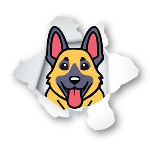 PAL Cartoon_PAL PopOut-Tranparent