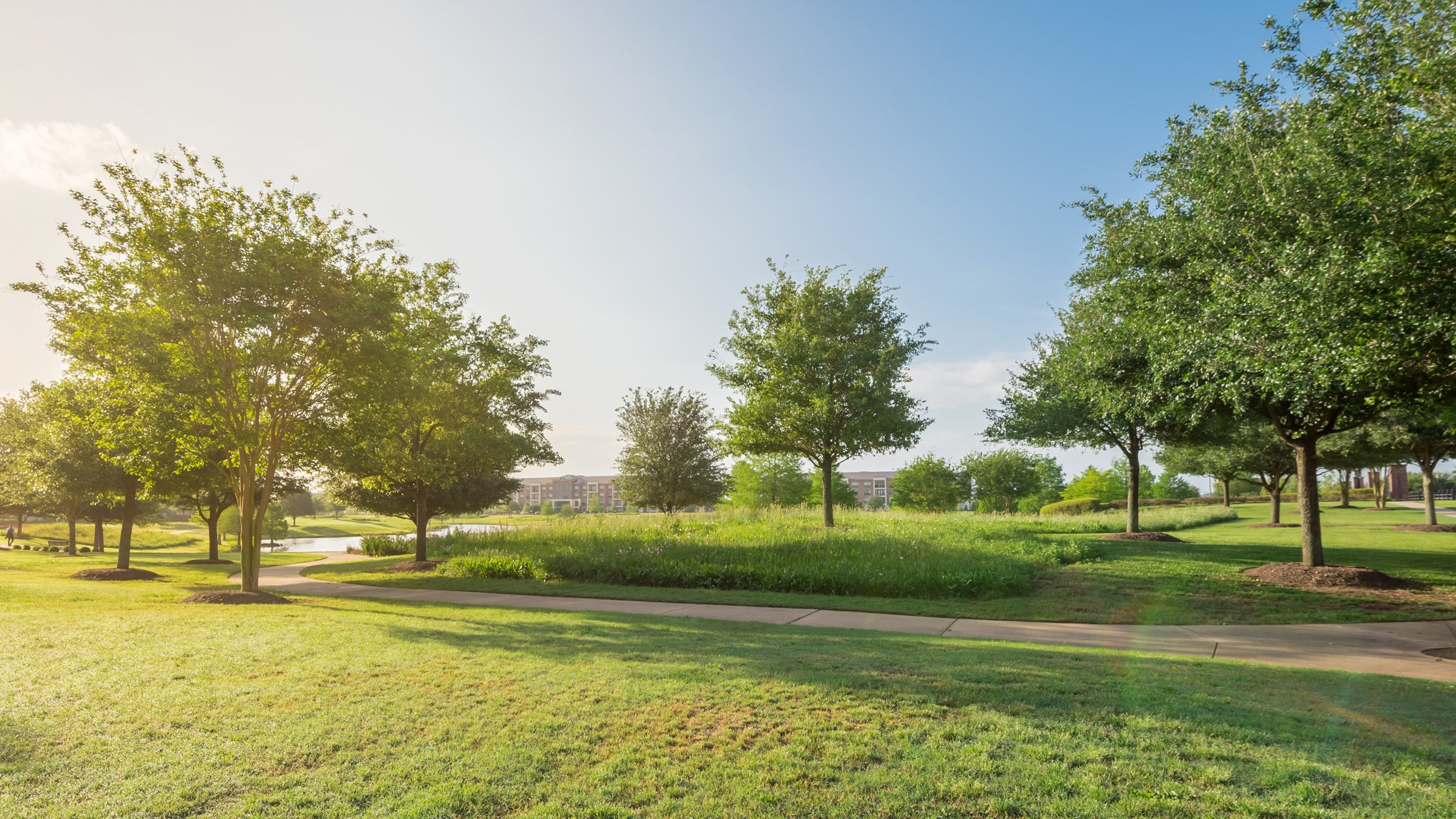 Rooting out your risks: tips to help reduce tree hazards around your community